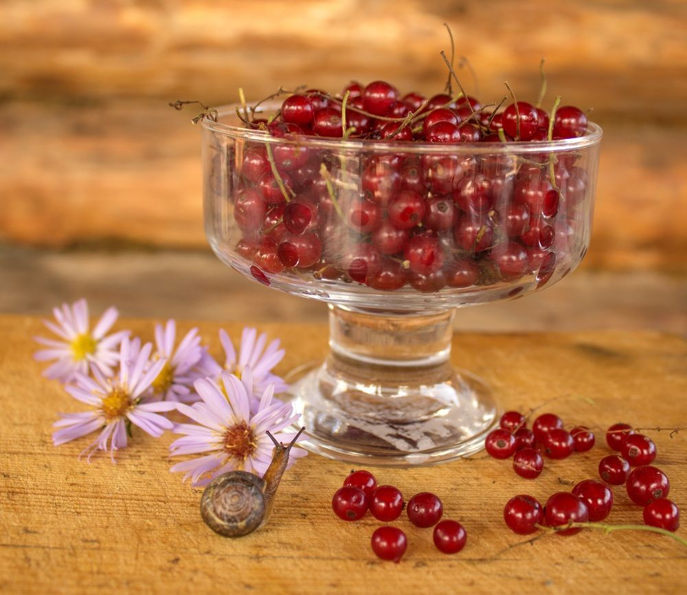 Photograph by Наталия Никитинская