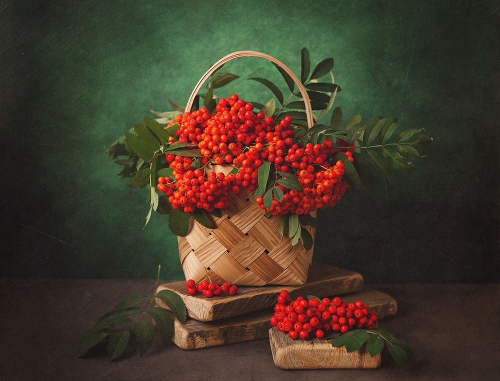 Фотография автора Наталья Ветошкина