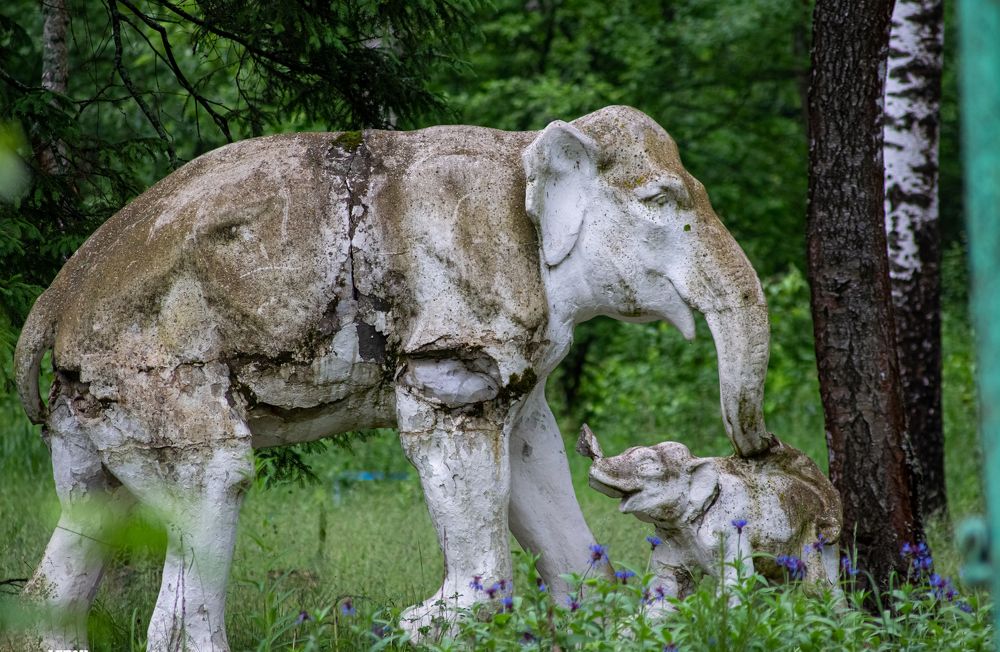 Photograph by Егор Горшков