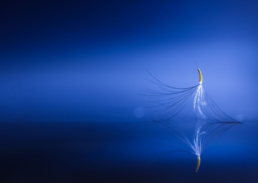 Photograph by Ольга Ильина