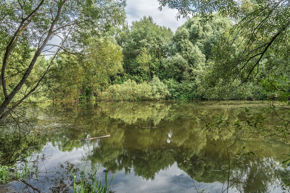 Photograph by Владимир Езеров