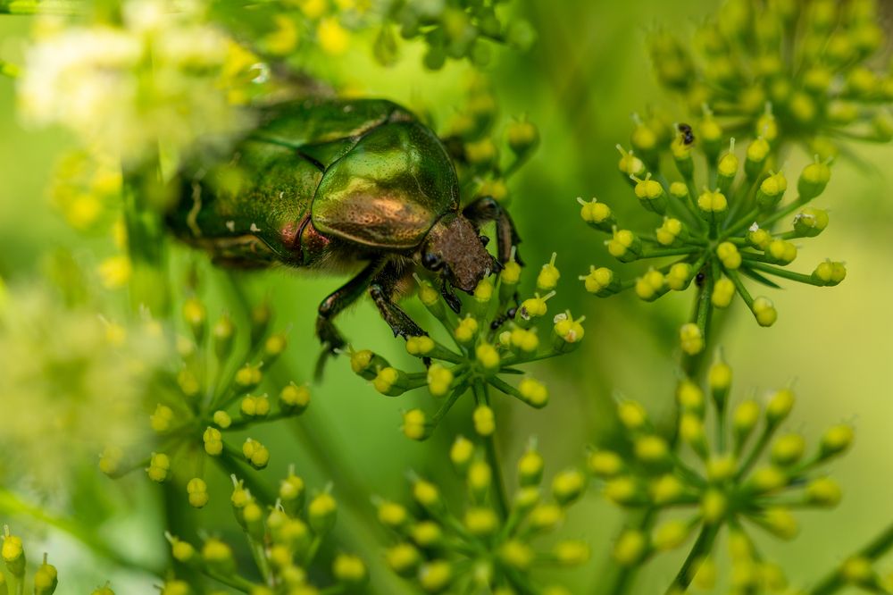 Photograph by Pucs Fongabe