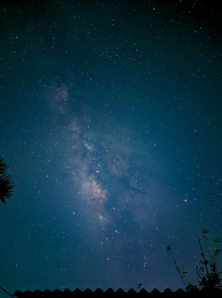 Photograph by Bistupada Mondal