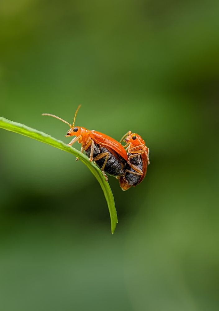 Photograph by Bistupada Mondal