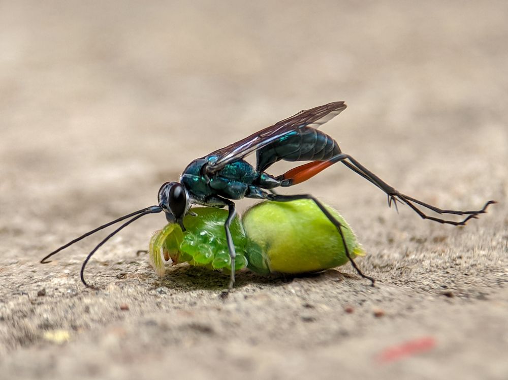 Photograph by Bistupada Mondal