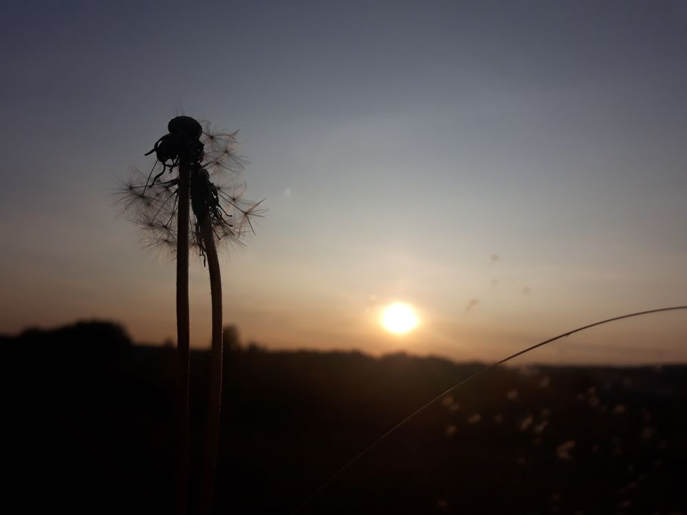 Photograph by Ксения