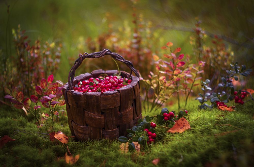 Photograph by Марина Мурашова