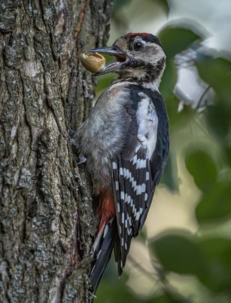 Photograph by Курлянцев Алексей