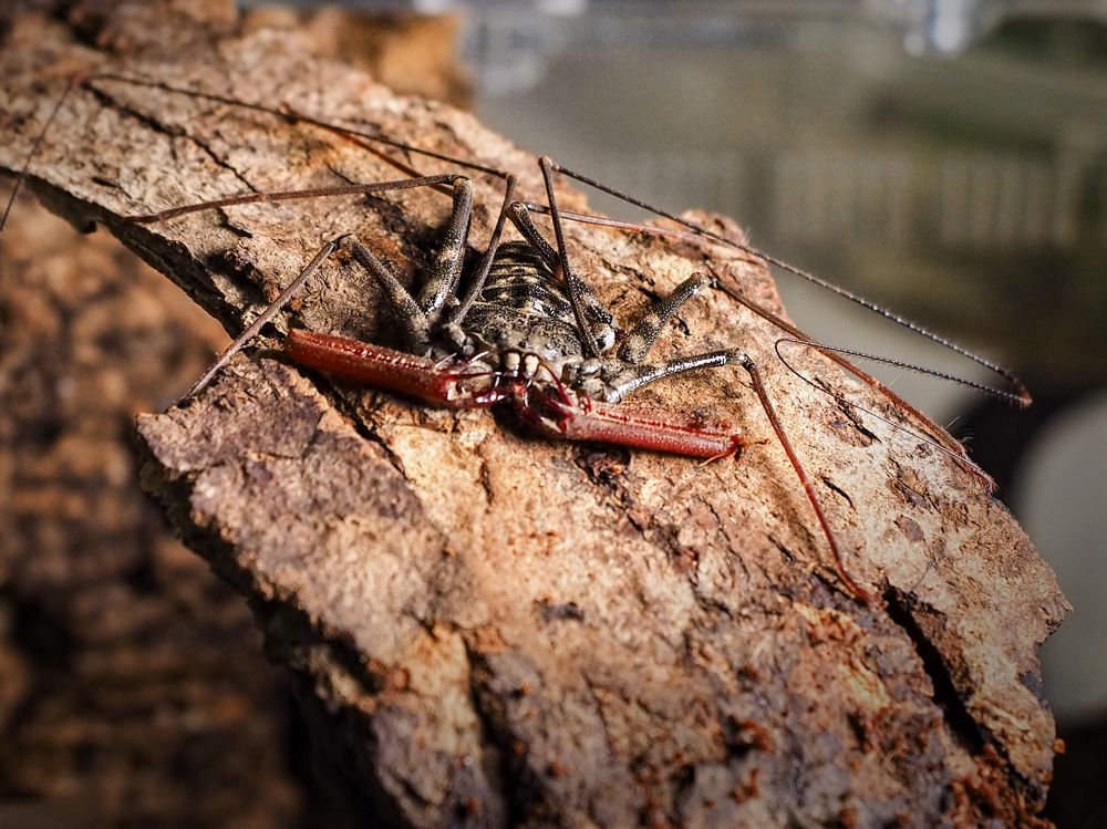 Photograph by Екатерина Рябинина