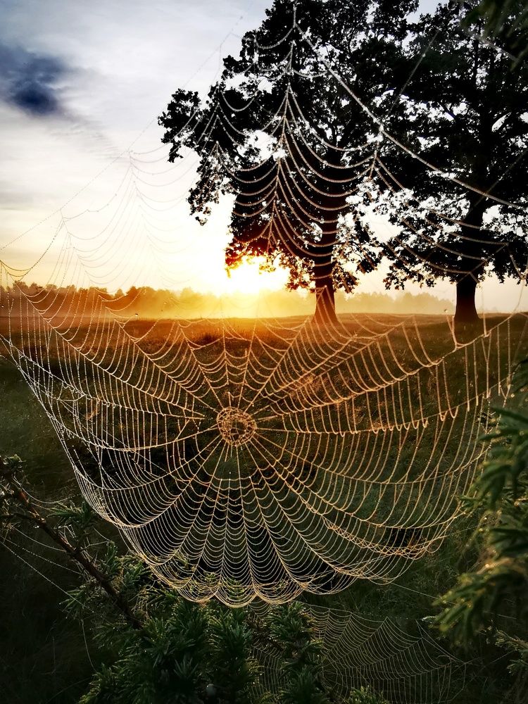 Photograph by Горбова Юлия