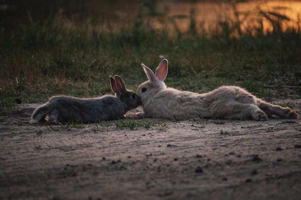 Фотография автора Владислав Рудков