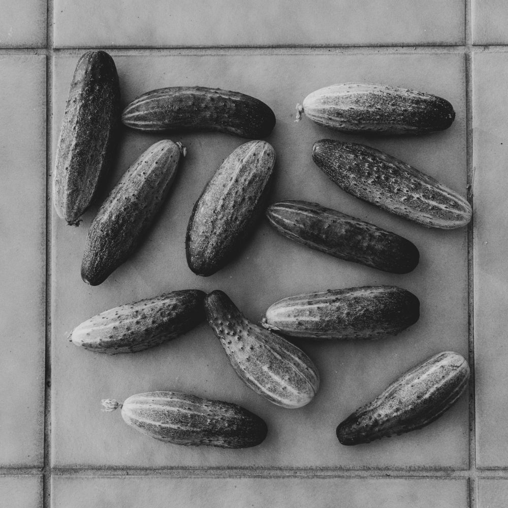 Photograph by Галина Баранова
