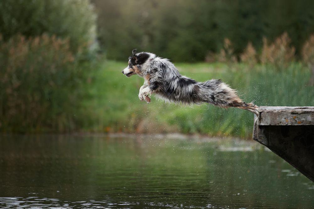 Photograph by Лана Полякова