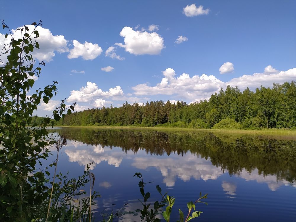 Photograph by Наталья Романова