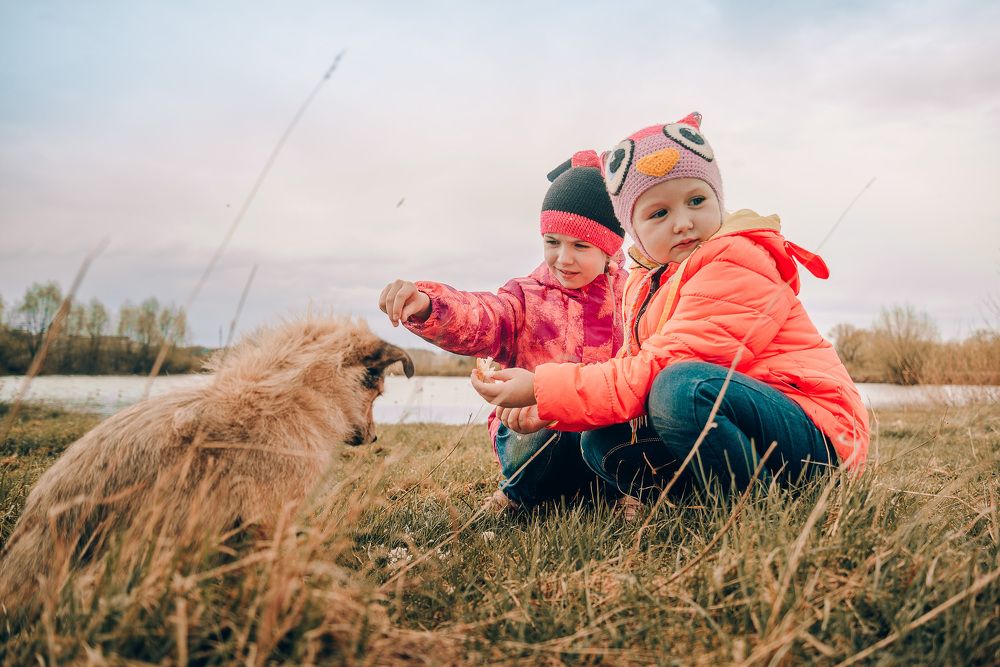 Photograph by Усачева Юлия