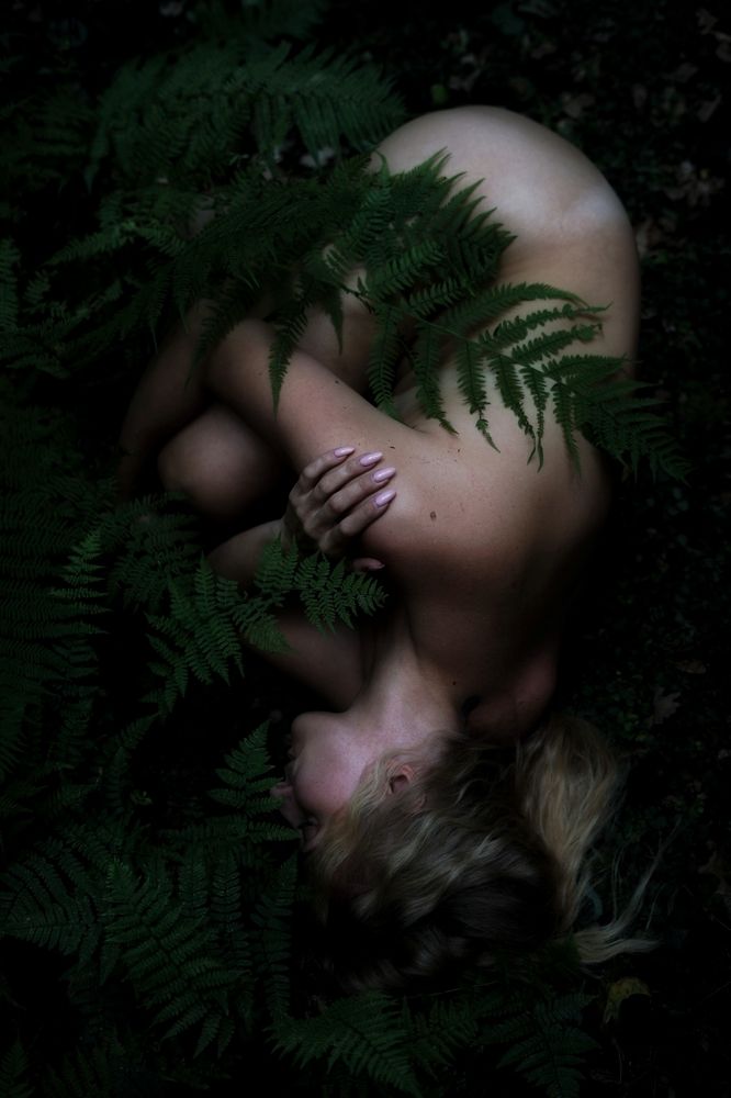 Возвращение к истокам