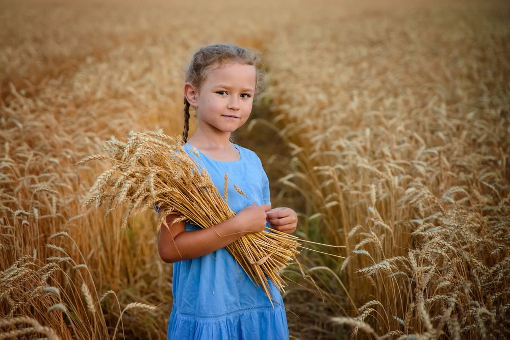 Урожайный год