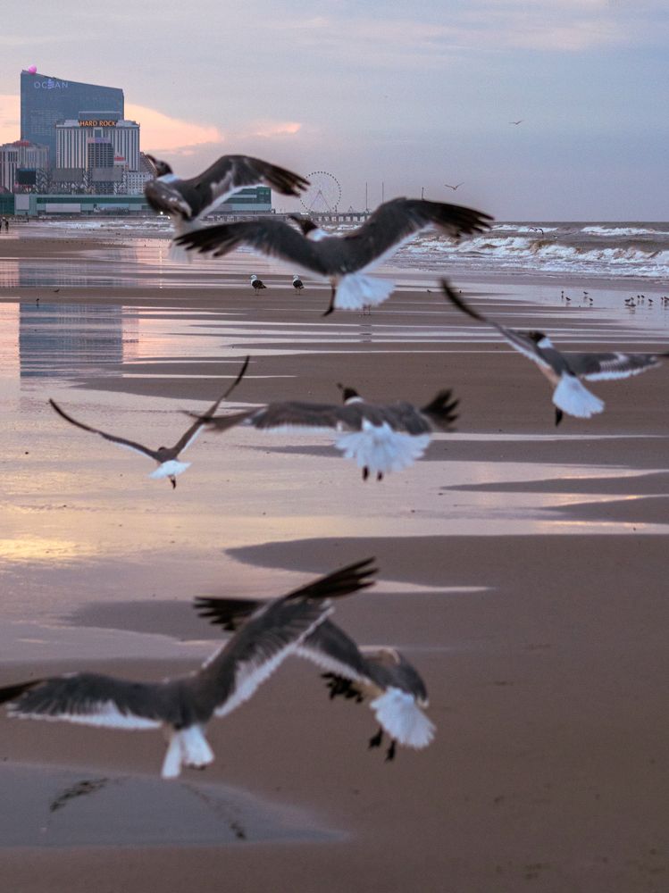 Photograph by Alisa Bryz-Gornia