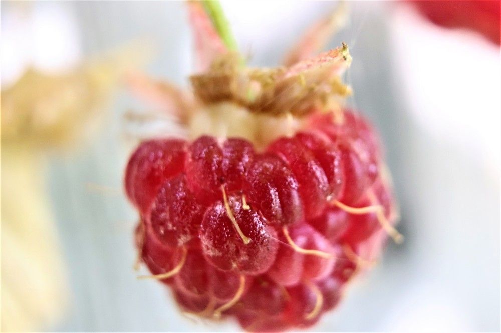 Photograph by Федоренко Элеонора