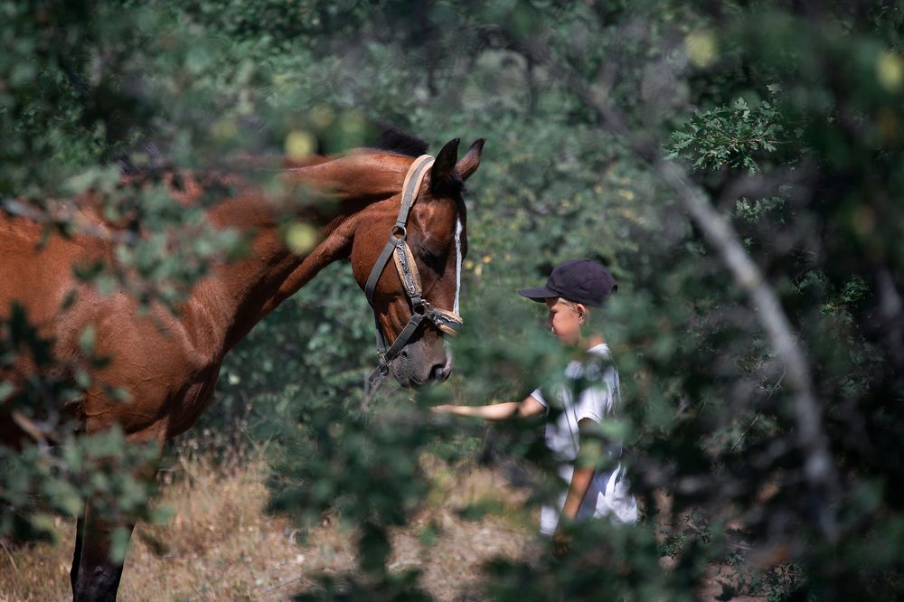 Photograph by Ирина Голомако