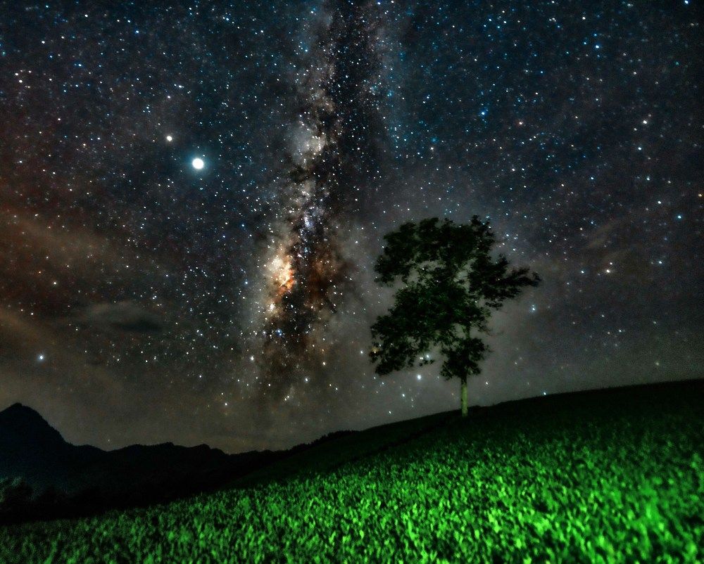 Фотография автора LÂM VŨ