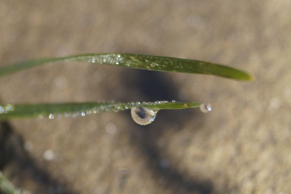 Photograph by Vlad Proshin