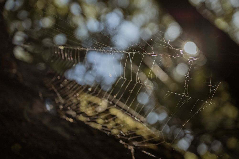 Photograph by Ксения Кузнецова