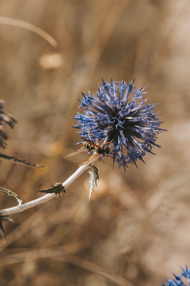 Photograph by Ксения Кузнецова