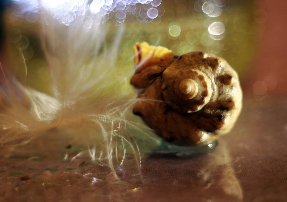 Фотография автора Михаил Назаров