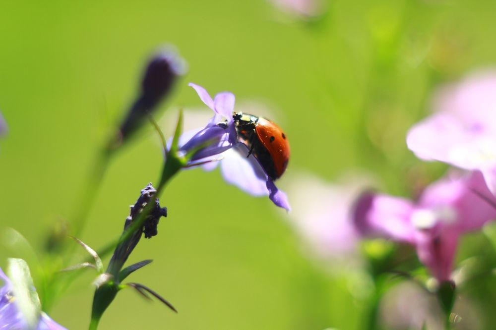 Фотография автора Михаил Назаров