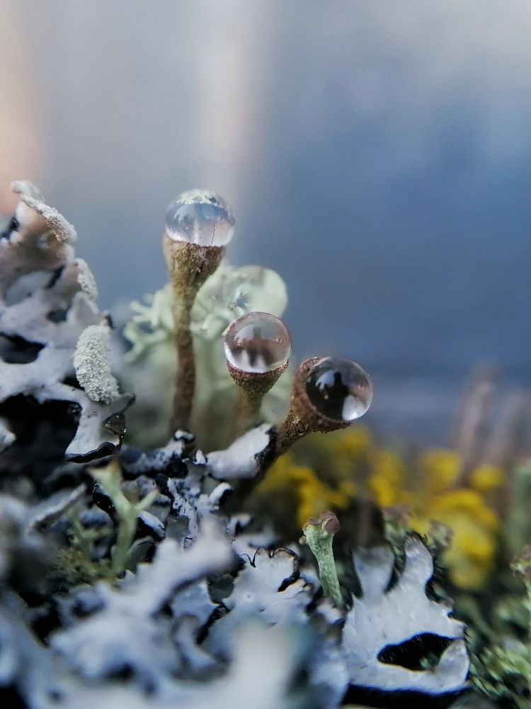 Photograph by Оксана Шевченко