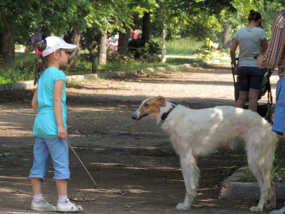 Дрессировщица