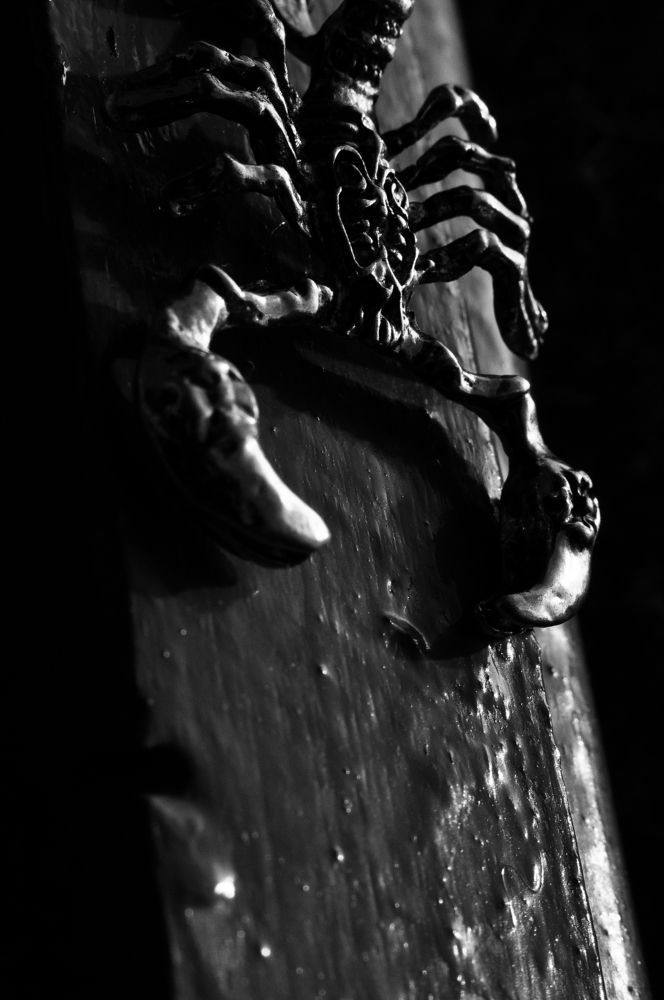 Photograph by Вадим Храмцов