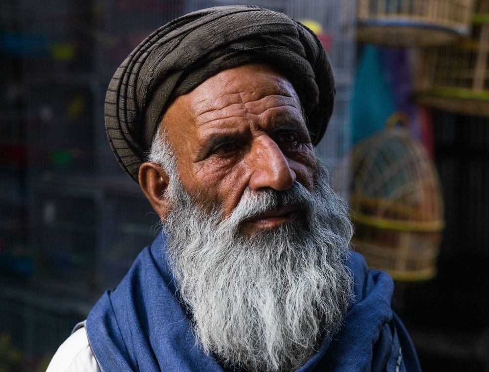 Photograph by Алексей Солоухин