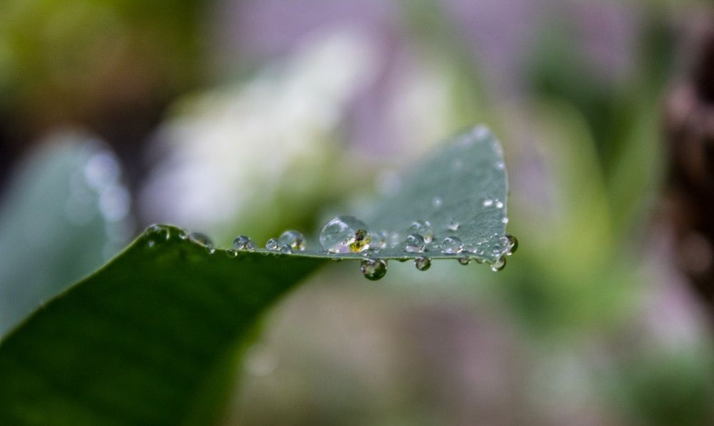 Photograph by Сергей Золотоверхий