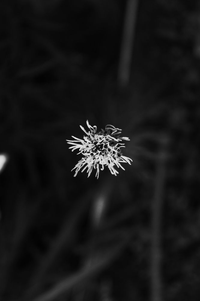 Photograph by Сергей Золотоверхий