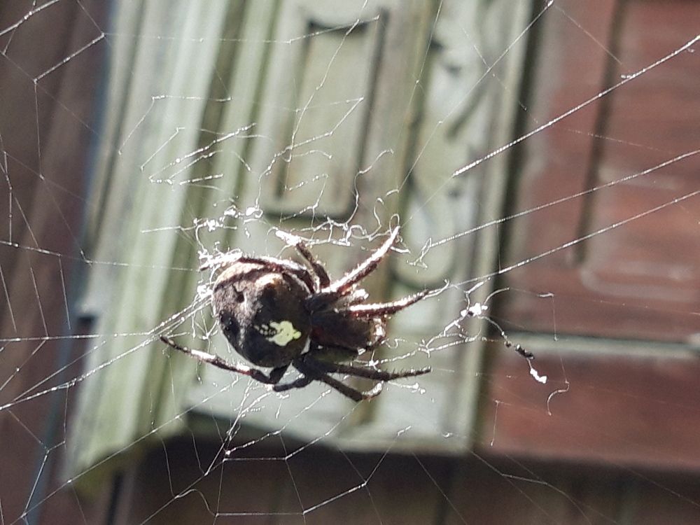 Photograph by Максим Дубинин