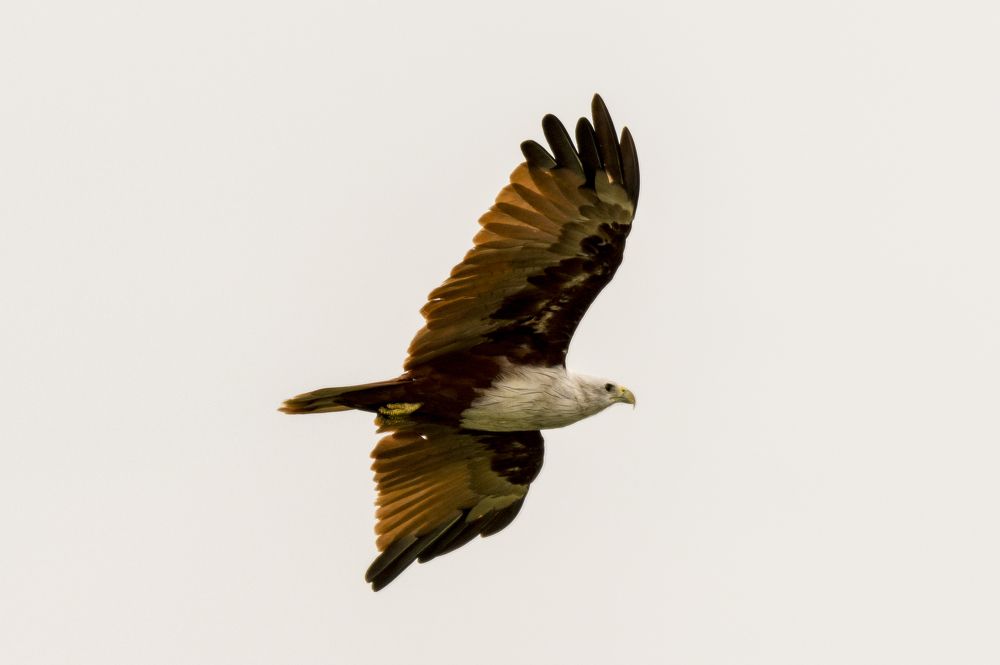 Photograph by M.I.M. Mahir