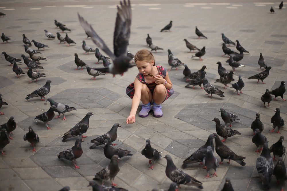 Photograph by Полина Смирнова