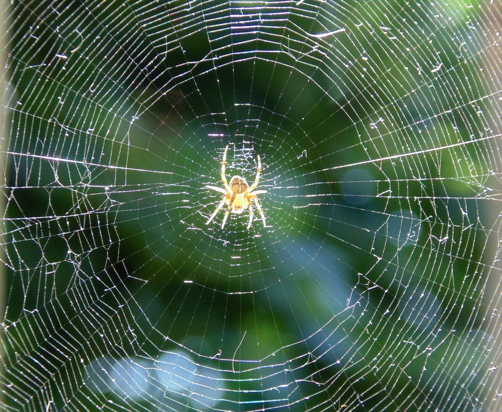 Photograph by Татьяна Стаскевич