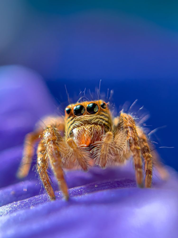 Photograph by Anandu S nair