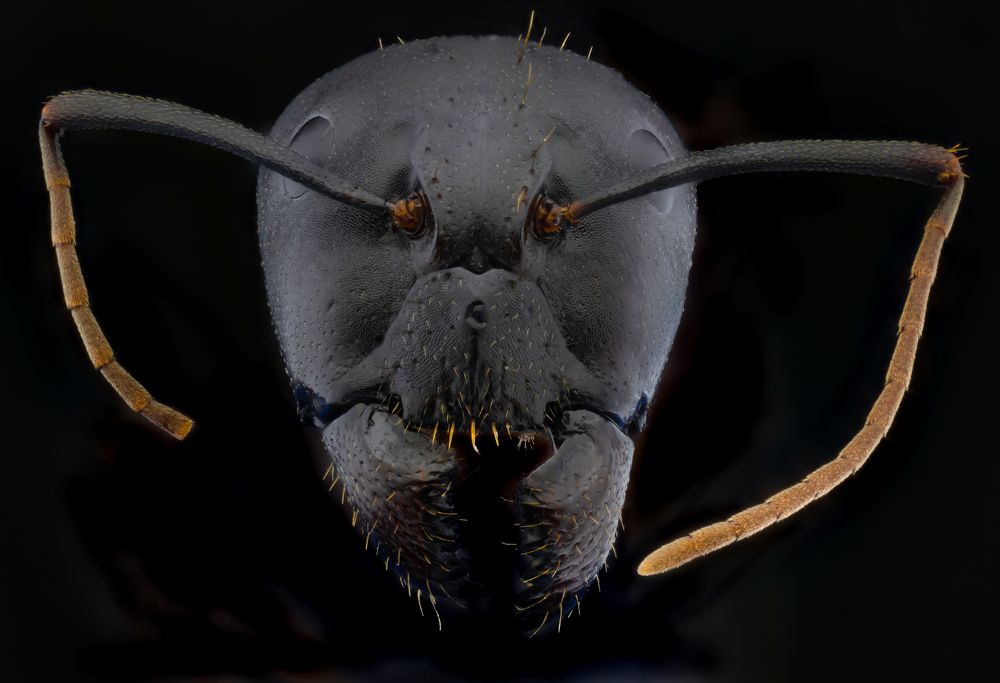 Photograph by Vicente Manuel Alvarez Mena