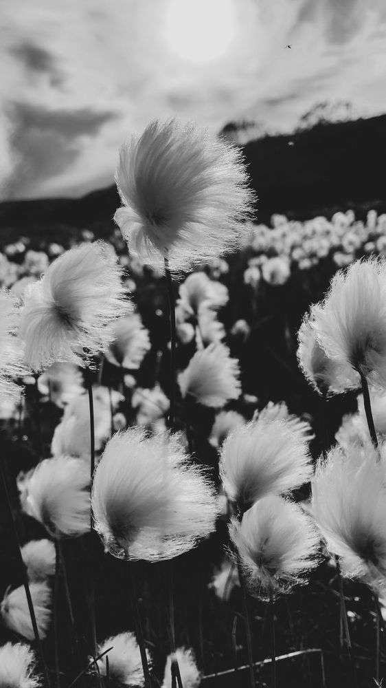 Photograph by Alina Belonozhko