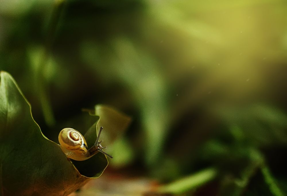 Photograph by Анна Селезнева