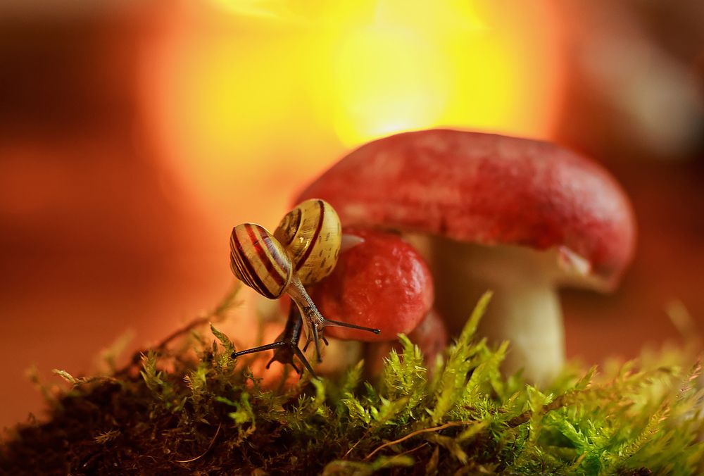 Photograph by Анна Селезнева