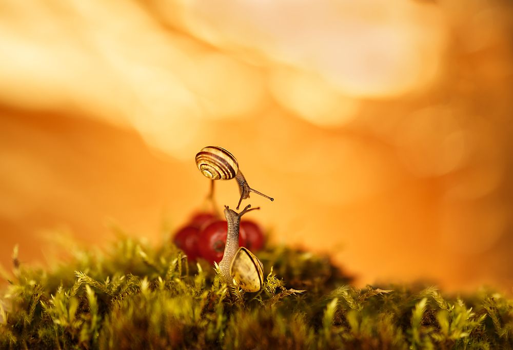 Photograph by Анна Селезнева