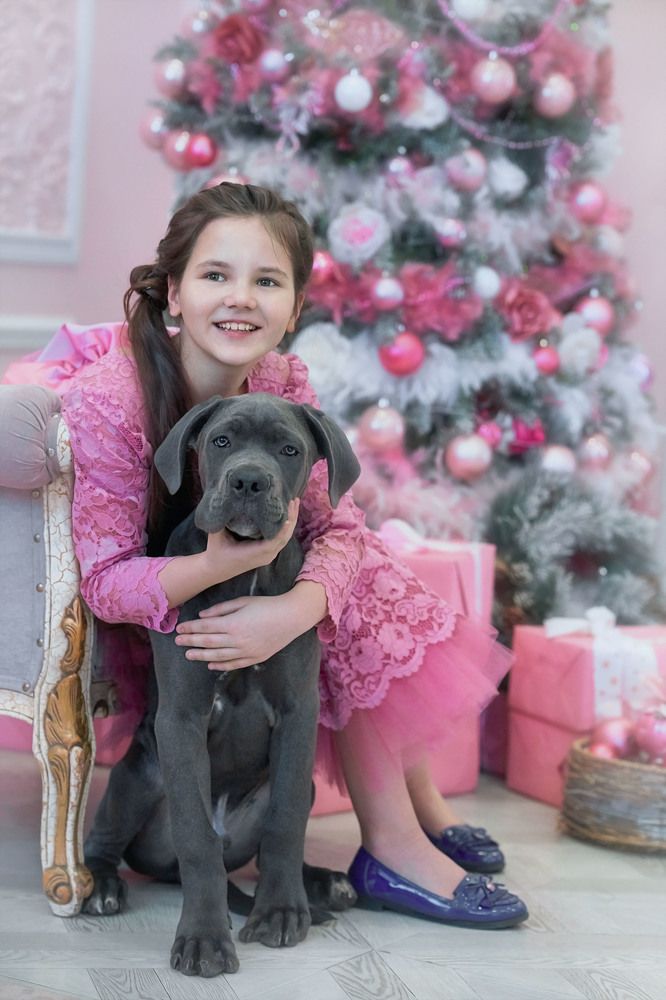 Photograph by Оксана Сироштан