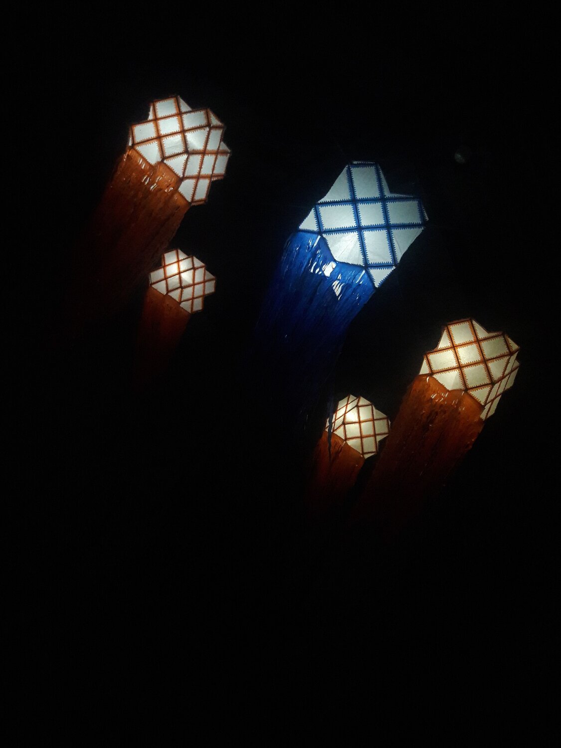 Photo #6403411