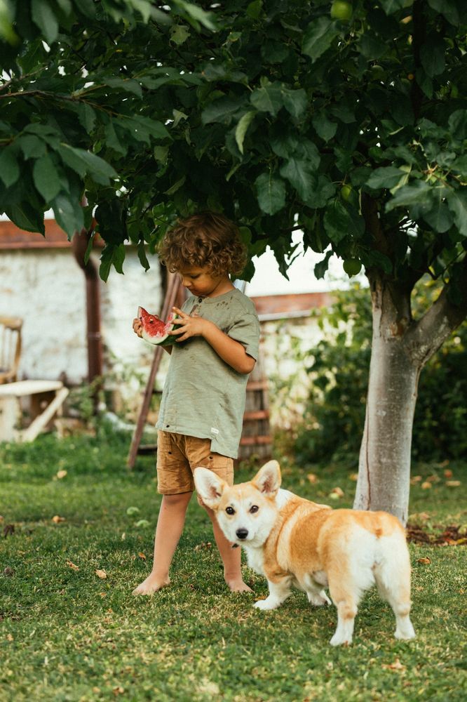 Photograph by Анастасия Симеонова