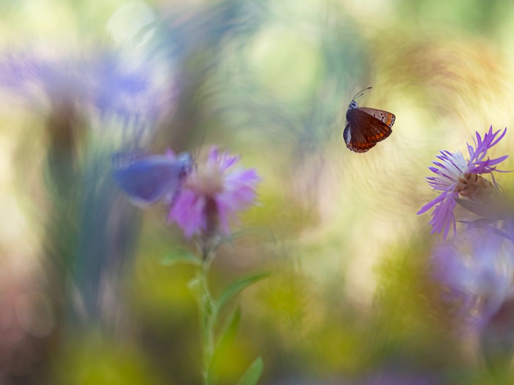 Photograph by FABIO SARTORI